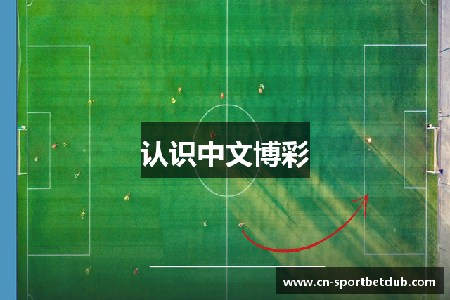 认识中文博彩